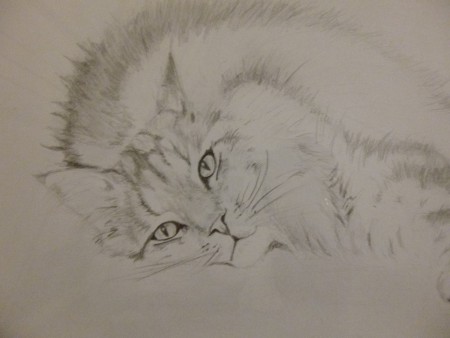 liggende kat (verkocht)